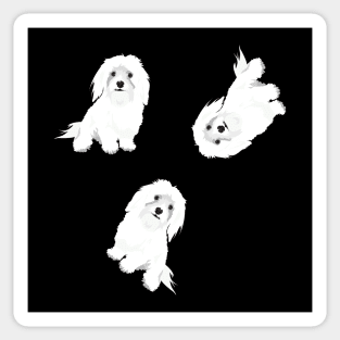 Pattern : Maltese Dogs Sticker